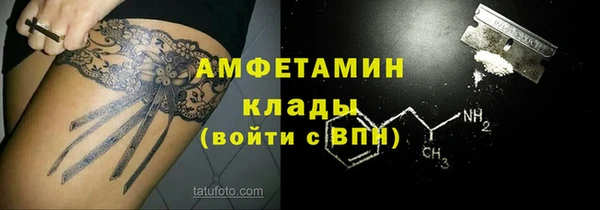 мдпв Лагань
