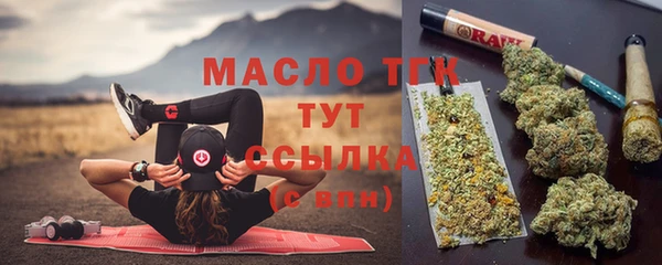 мдпв Лагань