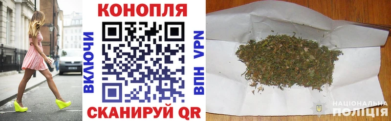 мориарти формула  mega маркетплейс  Малая Вишера  где найти   Марихуана SATIVA & INDICA 